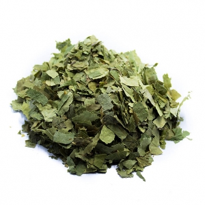 Betulla foglie taglio tisana BIO